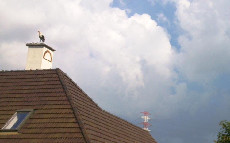 Szétköltöztek gólyáék