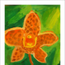 Képeket vegyenek az Arany iskoláért!