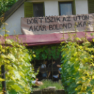 Adonyi Szent Orbán Nap