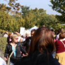 Rácalmás - tökön tök