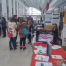 Pályaválasztási kiállítás