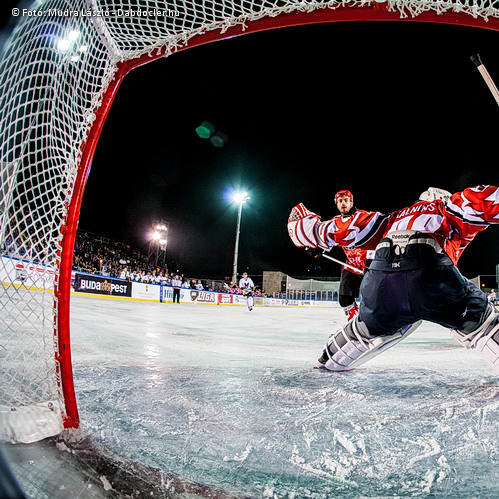 A bikák jobbak voltak a medvénél