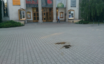 Lótrágya és örömünnep