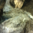 Hónap diákjai az állatkertben