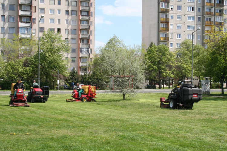 Gallyaznak- figyeljünk