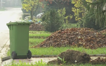 A Dunanett elviszi a zöldhulladékot, de...