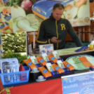 Rácalmás - tökön tök