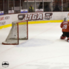 Dunaújvárosi Acélbikák 