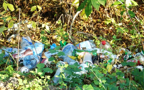 Várostakarításra fel!