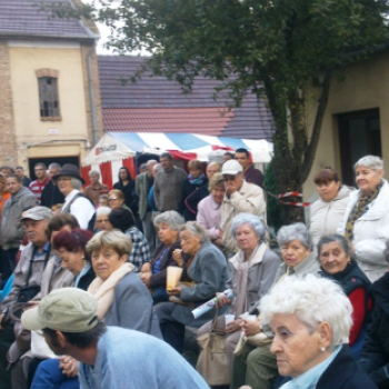 Szüreti hangulatban