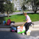 Tehetség nap - képekben