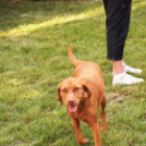 Parázs-varázs 2013 - 1 rész