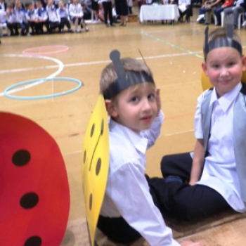 Elsősök avatása az Aranyban