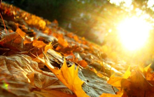 Novemberi tavasz közeleg