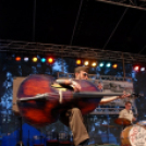 ifj.Dráviczki Márton felvételei a Parázs-Varázs színpadáról 2.