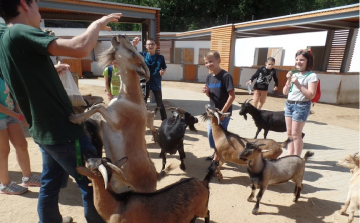 Ahol minden értük van...