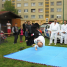 Római városrész napj