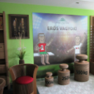 Új múzeum nyílt a városban