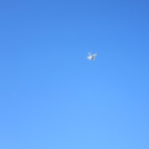 Miniszteri látogatás a főiskolán