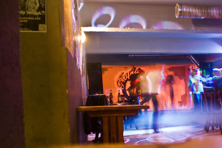 Töki, a kaptár házigazdája