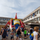 Majális a Városháza téren