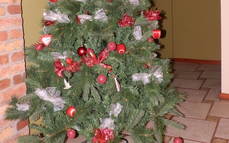 Már lehet szavazni Dunaújváros legszebb karácsonyfájára! 