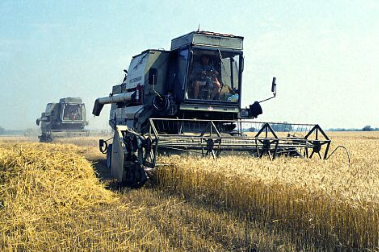 Aratási konferencia