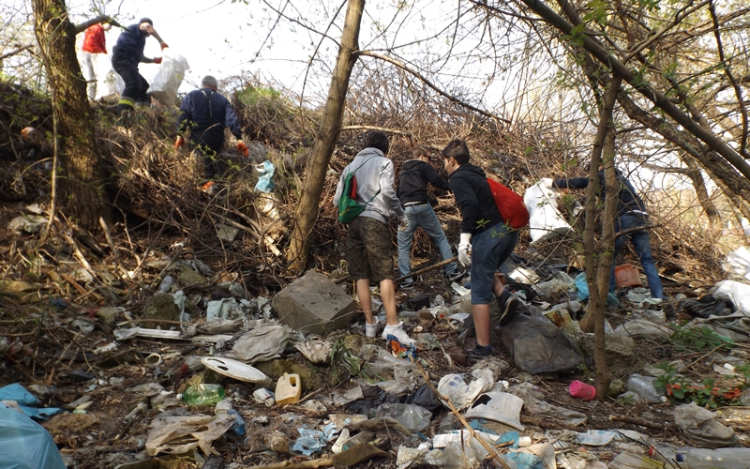 Megtisztították a Duna-partot