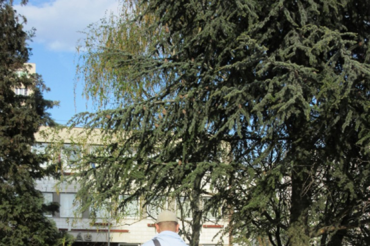 Tehetség nap - képekben