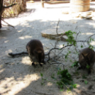 Hónap diákjai az állatkertben