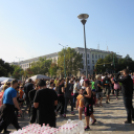 Pazar időben színes programok Szent Mihály napján