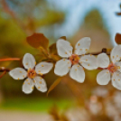 Képeket vegyenek az Arany iskoláért!