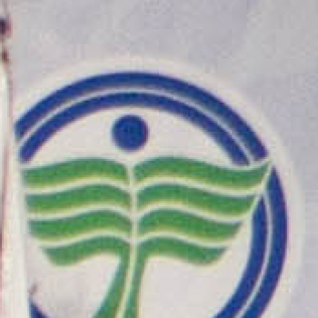 Oklevelesek és diplomások napja a Dunaújvárosi Főiskolán