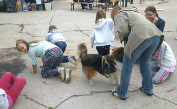 Egész nap egészségnap a Rómain