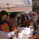 Rácalmás - tökön tök