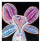 Képeket vegyenek az Arany iskoláért!