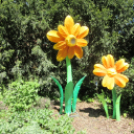 Hónap diákjai az állatkertben