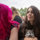 Rockmaraton- Szentkuti Tamás felvételei