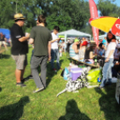 Parázs-varázs képekben