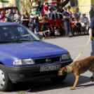 Szívvel-lélekkel a védelmünkben