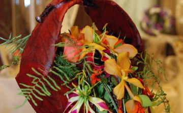 Boldog névnapot Zsuzsiknak!